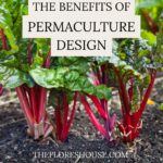 the benefits of garden and permaculture design
