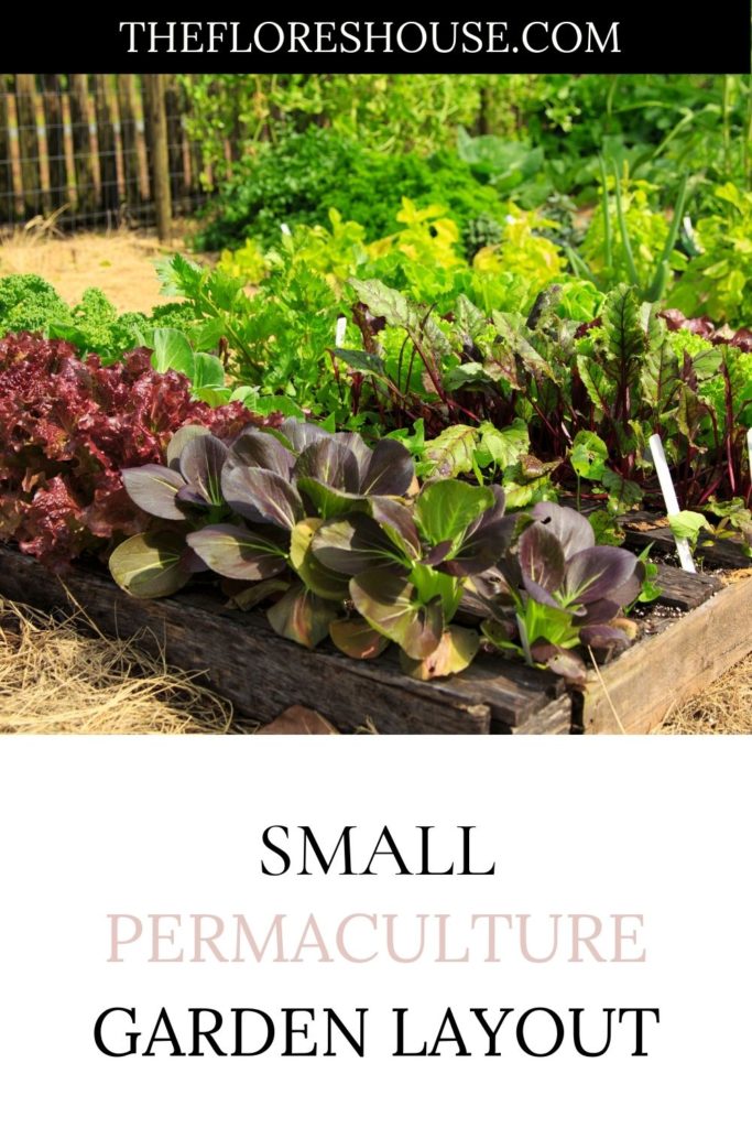 Small Permaculture Garden Layout