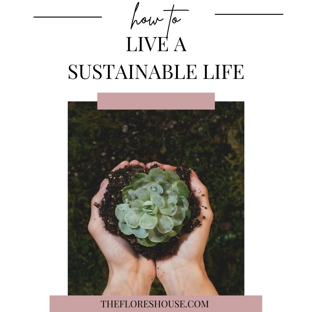 how to be sustainable

