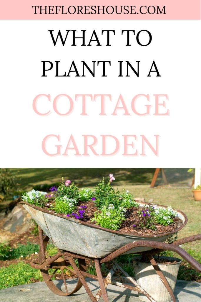 What to Plant in a Cottage Garden