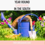 year round gardening in south