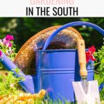 year round gardening in south