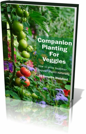 companion planting for veggies by annette welsford