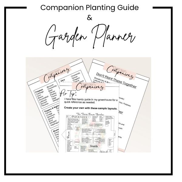 companion plant guide free