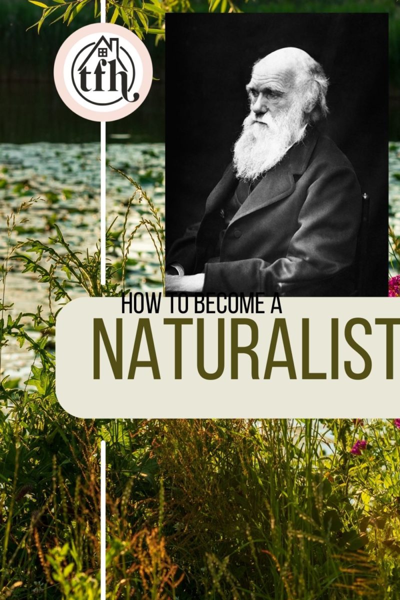 how to become a naturalist