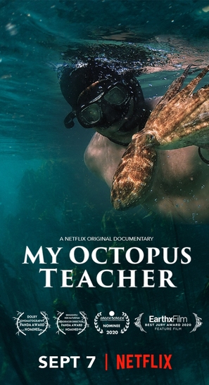 my octopus teacher nature film