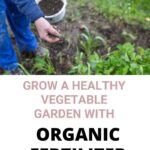 best fertilizers for organic gardening