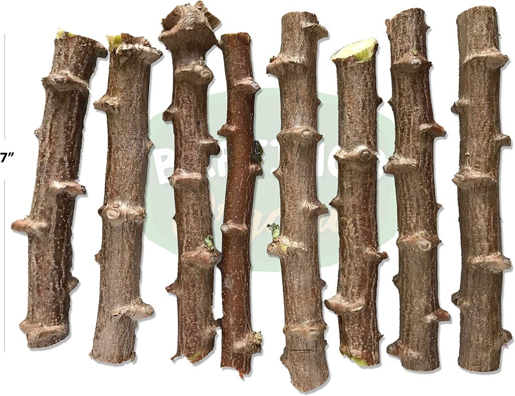 cassava for planting