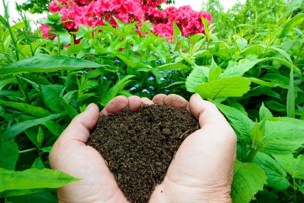 best fertilizers for vegetable gardens