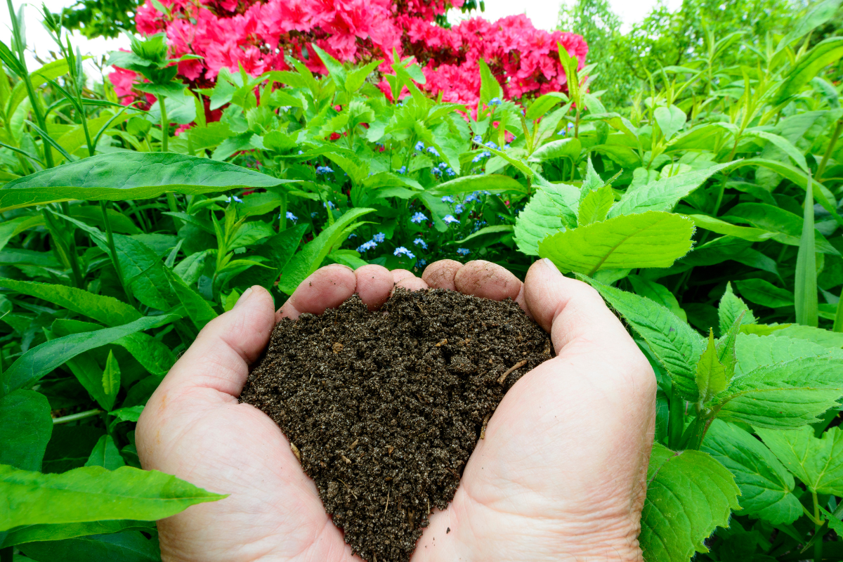 the best organic compost for vegetable gardens