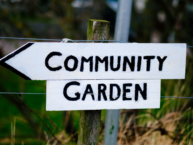 growing food in your community