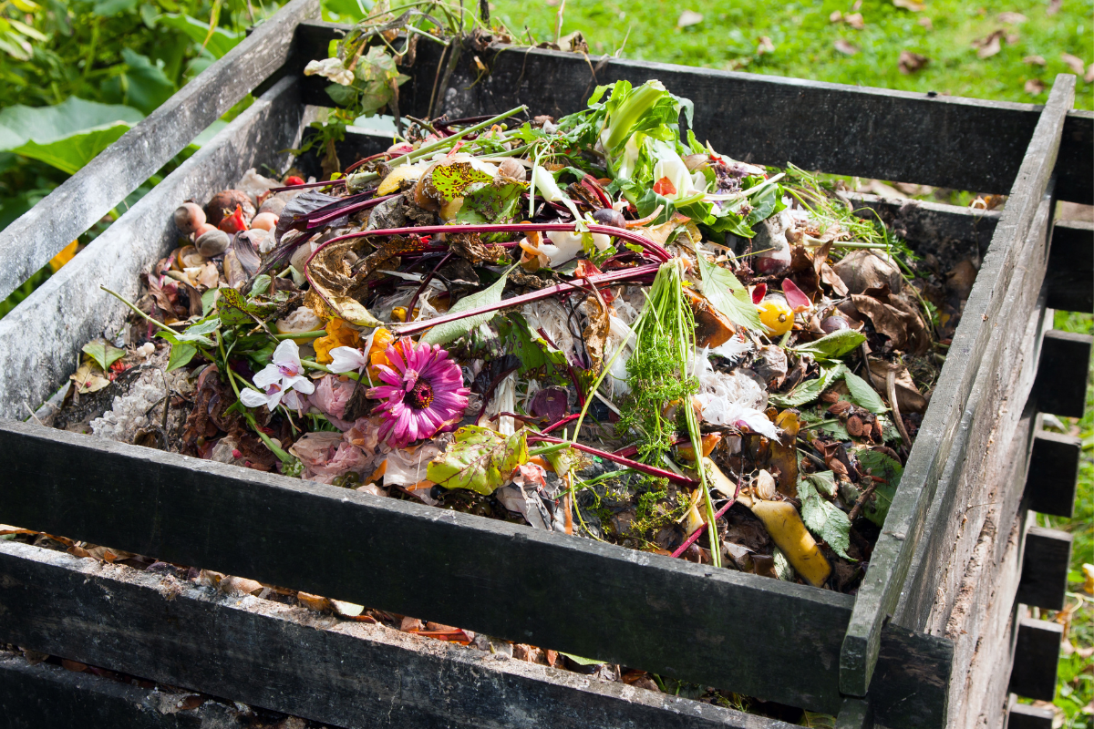 outdoor compost bin full of organic compost