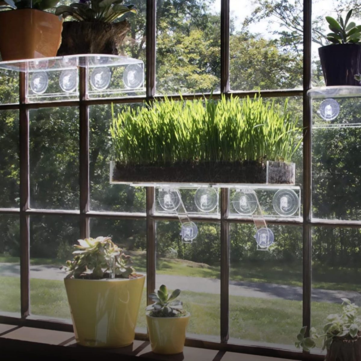 window garden ideas