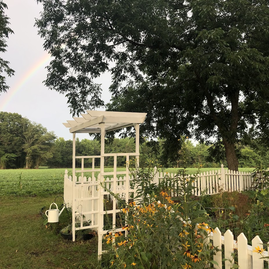 The Joy of Year-Round Gardening in the South