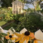 gardening tips and resources year round gardening in south