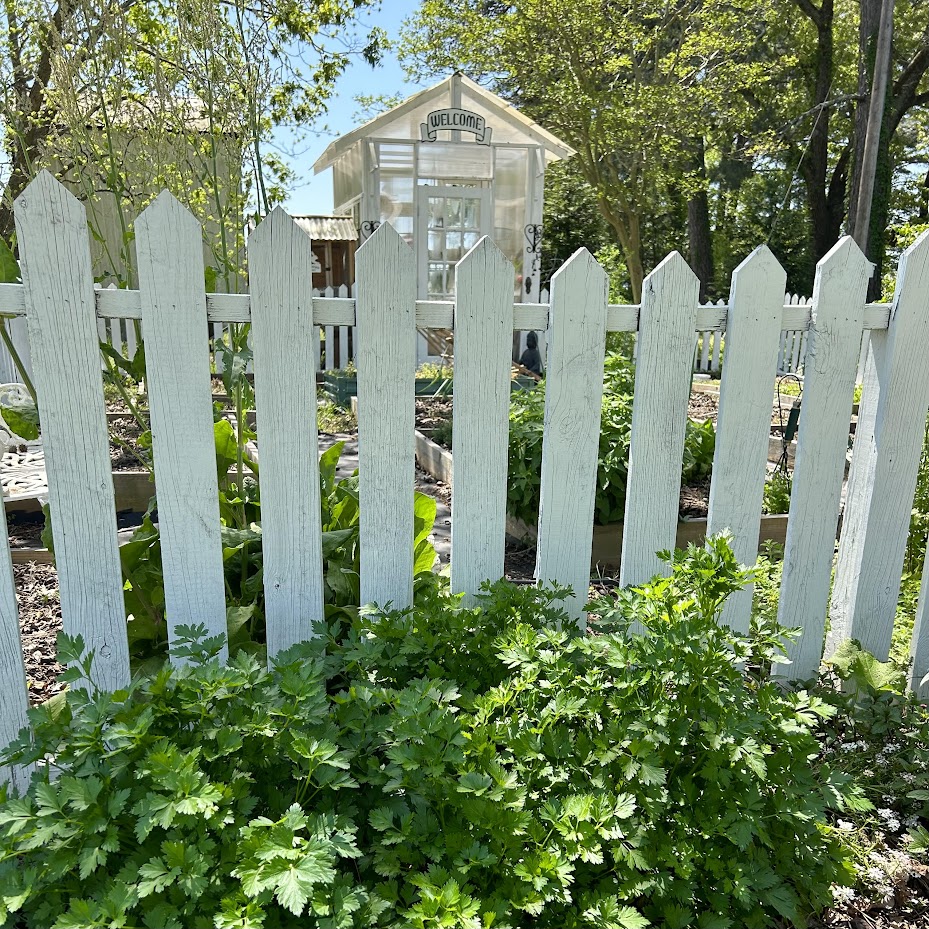 reclaimed garden fence
