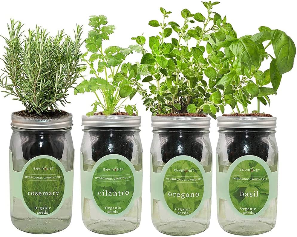 mason jar garden kit