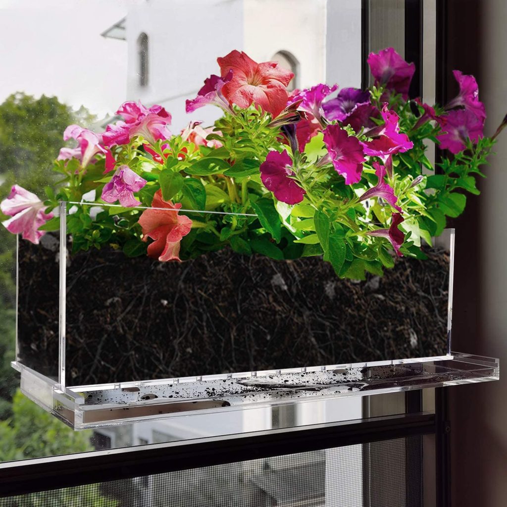 herb garden window box
