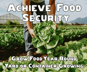 learn how to grow food