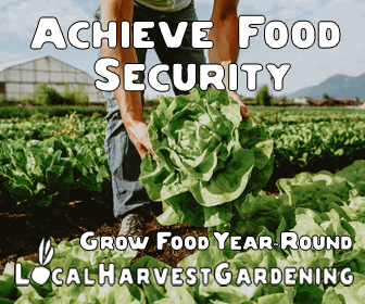 how to achieve food security local harvest