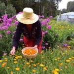 self-sufficiency and how to get started with sustainable nutrition