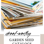 garden seed catalogs