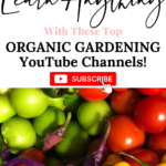 organic Gardening Youtube
