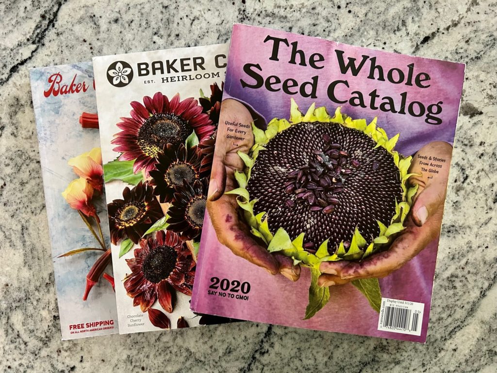 bakers creek rare garden seed catalogs