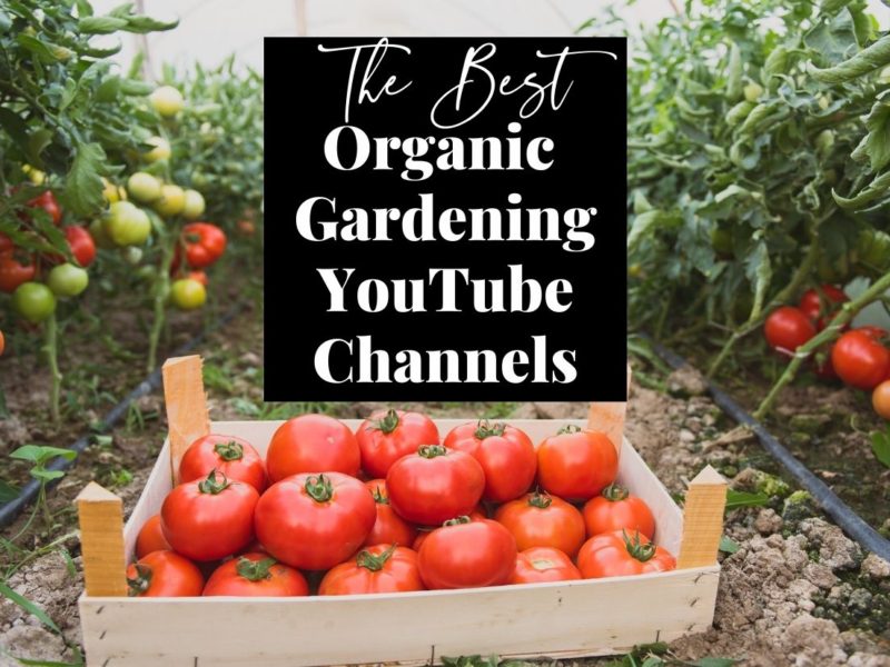 organic gardening youtube