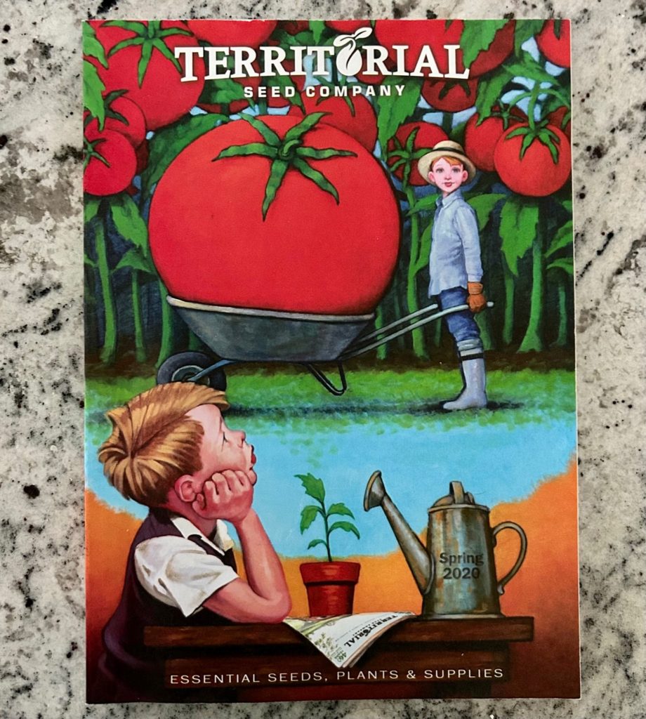 territorial seed company catalogs