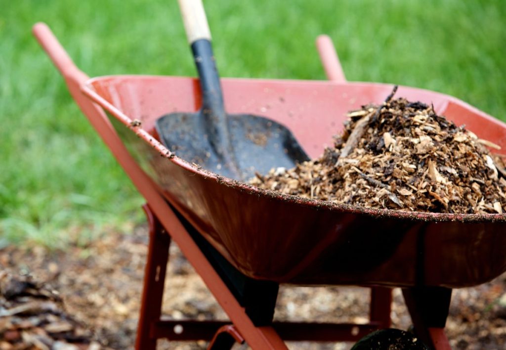how to mulch a vegetable garden