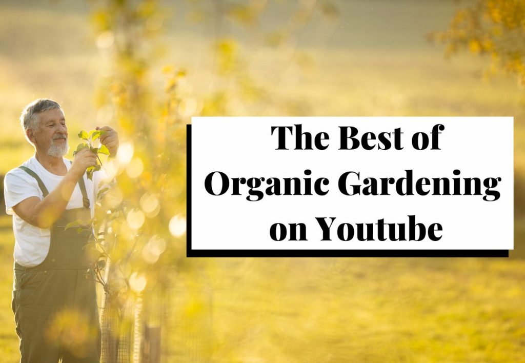 the best organic gardening videos on youtube