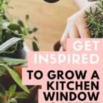 garden ideas for the kitchen