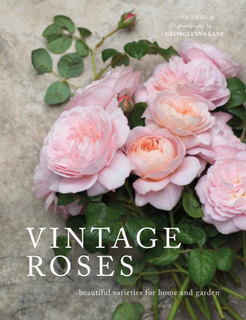 vintage roses book