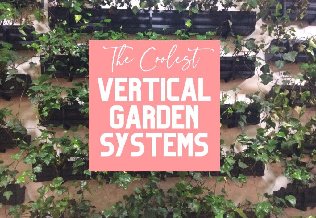 the coolest vertical garden systems