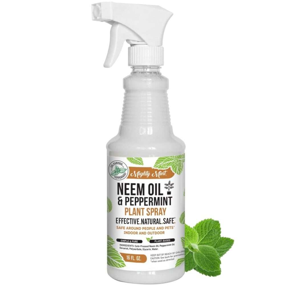 the best organic insecticide on amazon that works