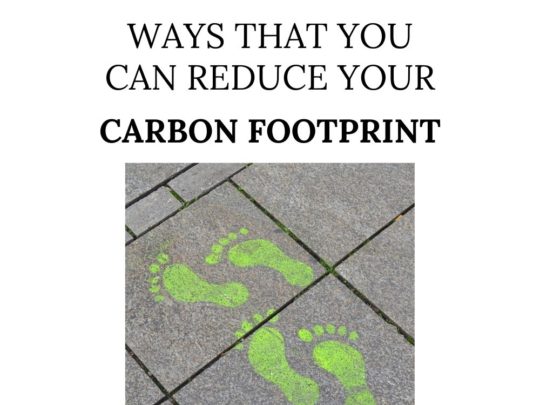 how to improve your carbon footprint