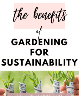 gardening for sustainability