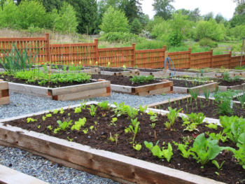 1 4 vegetable garden layout