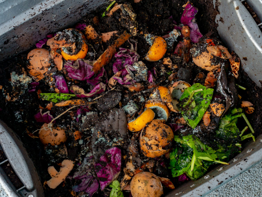 composting vegetables to make garden soil