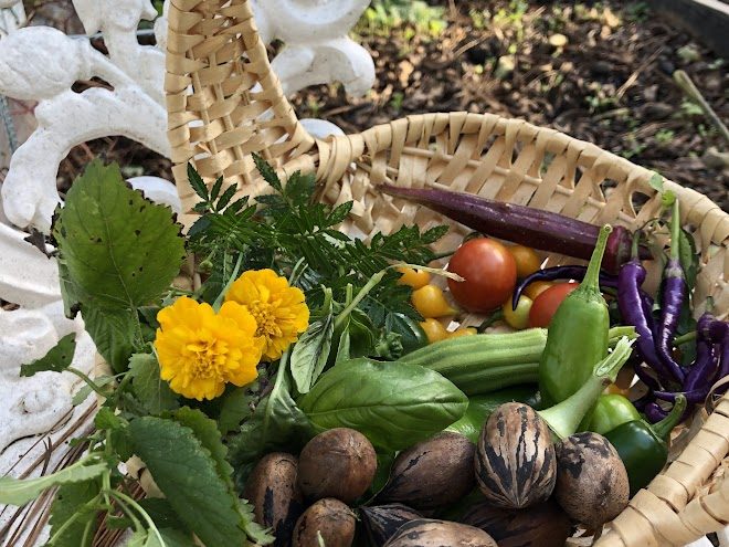 a variety of food from the garden provides nutrition and security