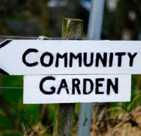 growing food in your community