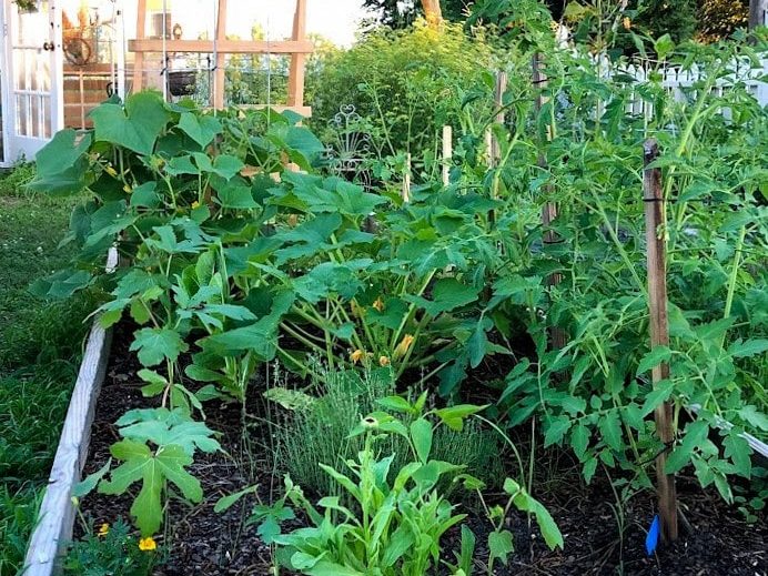 TFH gardens with the polyculture method for abundant yields every season.