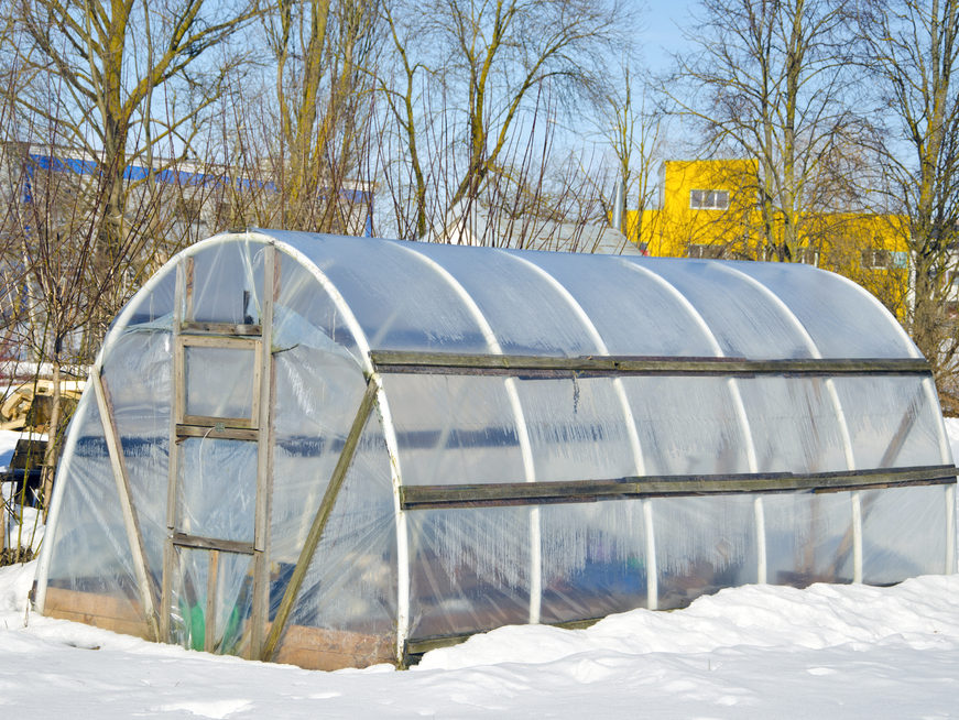 winter gardening greenhouse