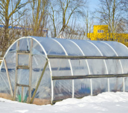 winter gardening greenhouse